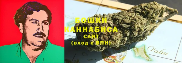 дурь Белокуриха