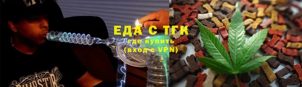 стаф Ельня