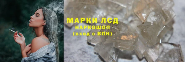 прущие грибы Беломорск