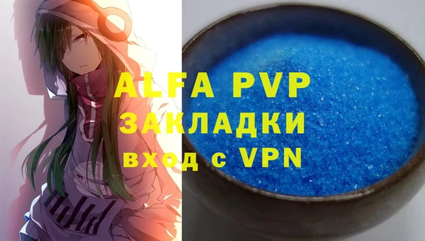 прущие грибы Беломорск